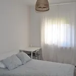 Quevedo Suites 2