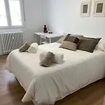 Leonmisol