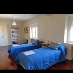 La Casa Curiosa