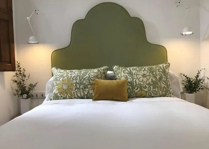NIDO Hogar para aves de paso