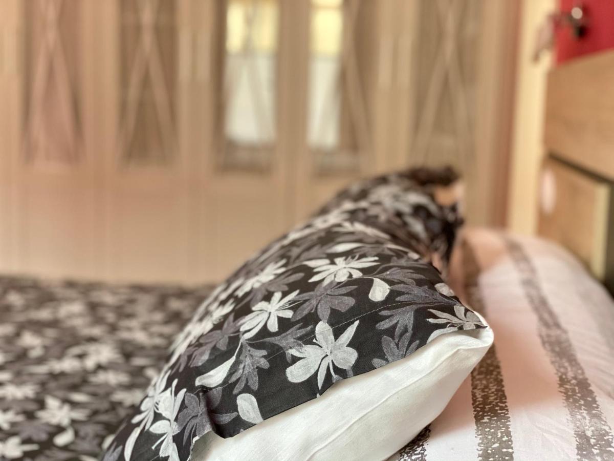 Apartamento Housingleon- Barrio Húmedo León