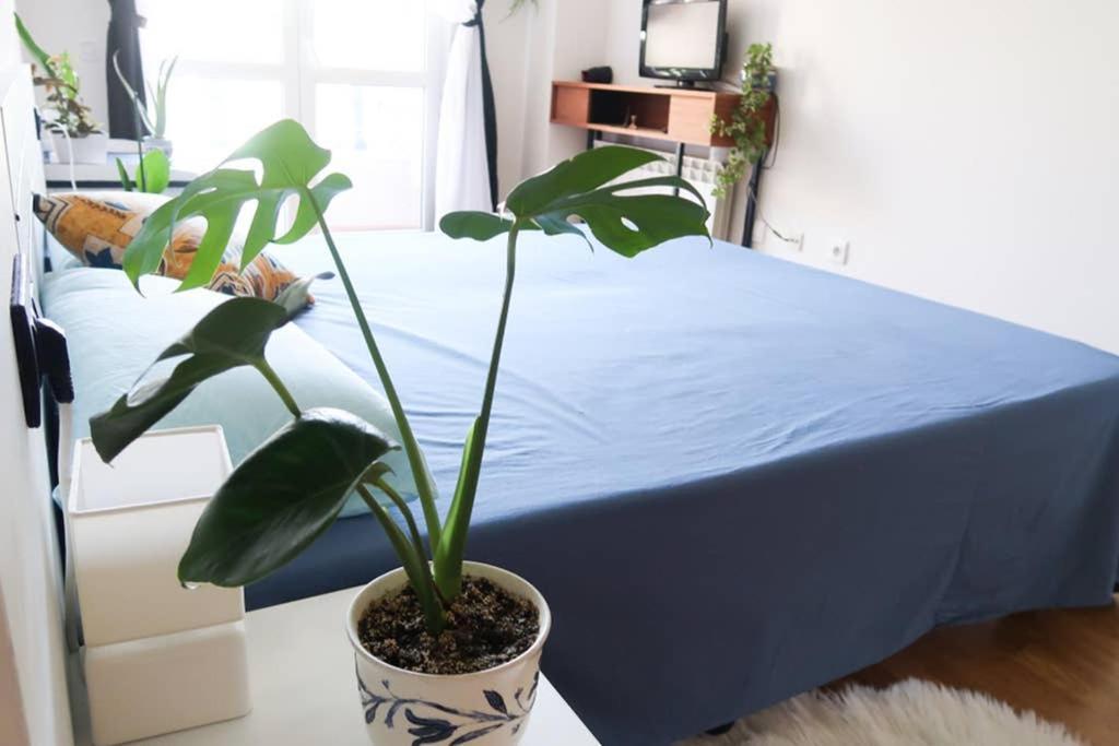 Apartment Housingleon- Casa Oliva Con Garaje *