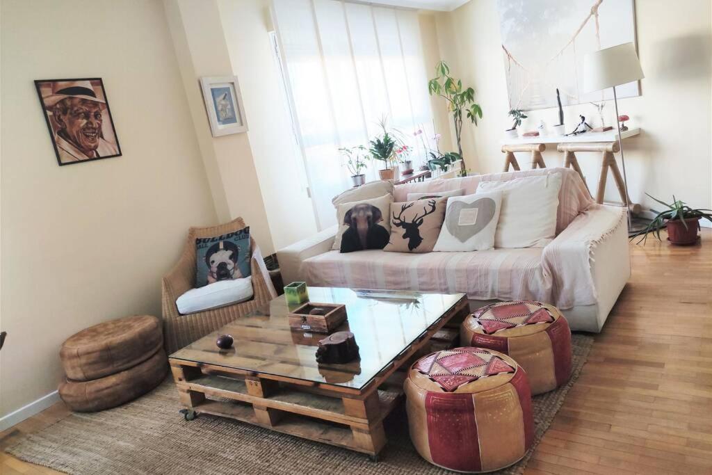 Moderno Muy Acogedor Y Luminoso •leon Apartment