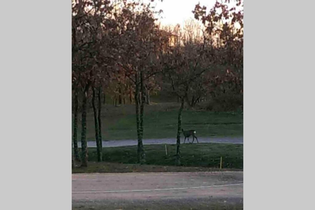 Golf Casakalma