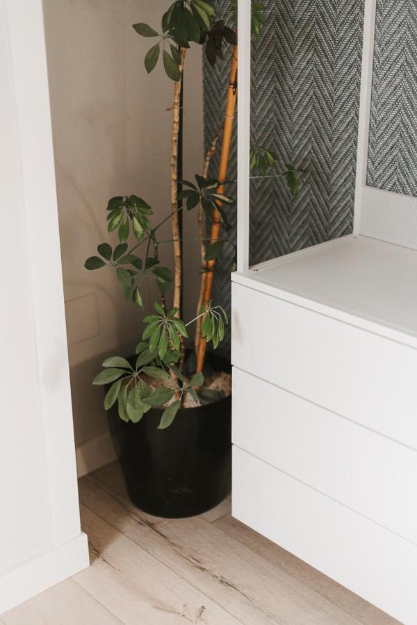Apartamento Mk77 - Atiko León
