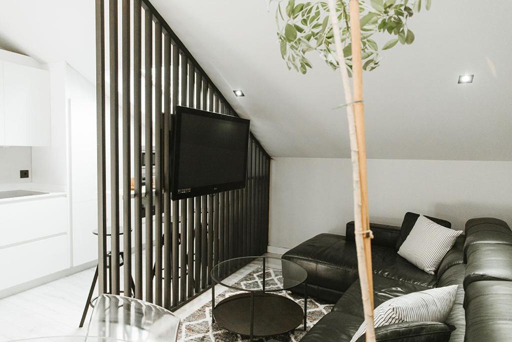 Mk77 - Atiko Apartamento León