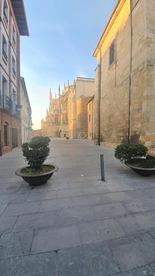 Vega14 * León