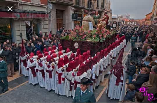 Vía Principalis *