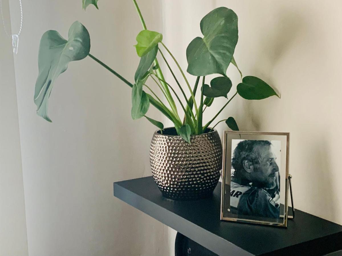 Сasa de vacaciones Casa Palomera - Casa Completa Con Jardín, Gimnasio Y Garaje Privados León