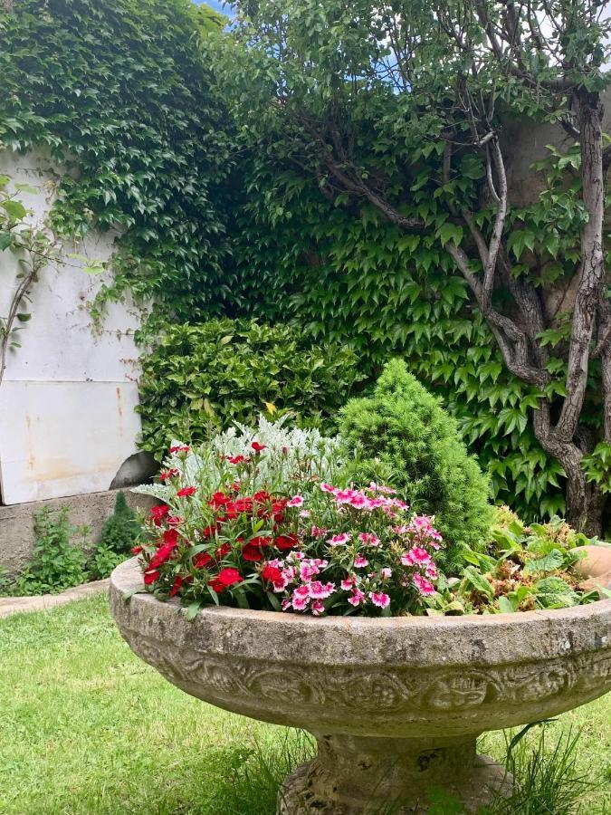 Casa Palomera - Casa Completa Con Jardín, Gimnasio Y Garaje Privados *