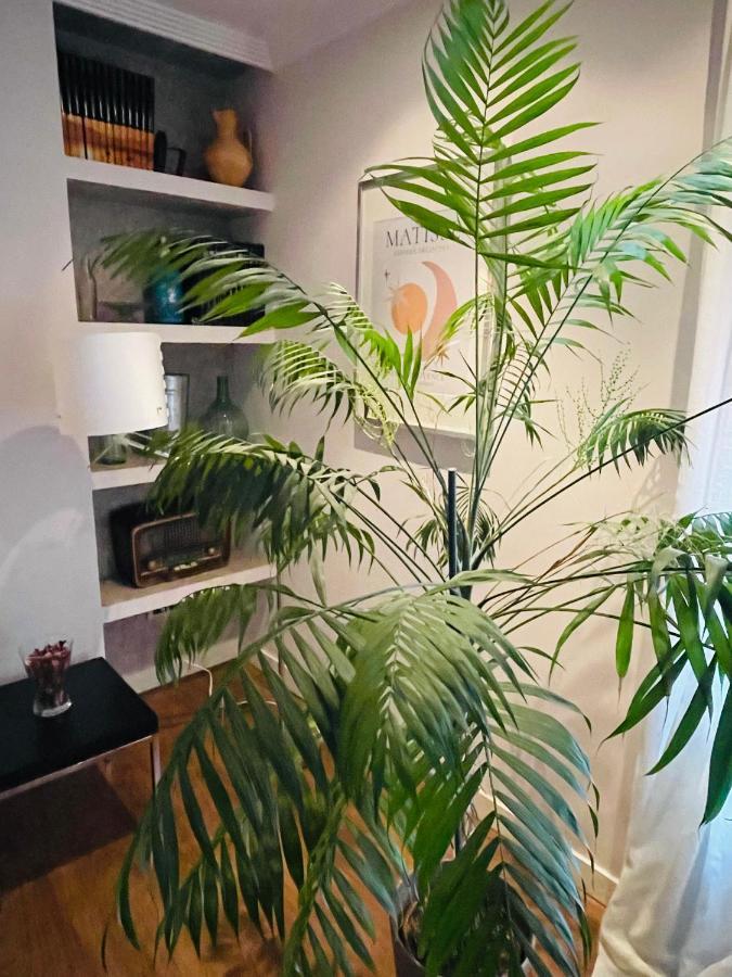 Apartamento Casa Lola
