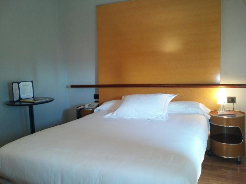 Hotel Occidental Alfonso V León