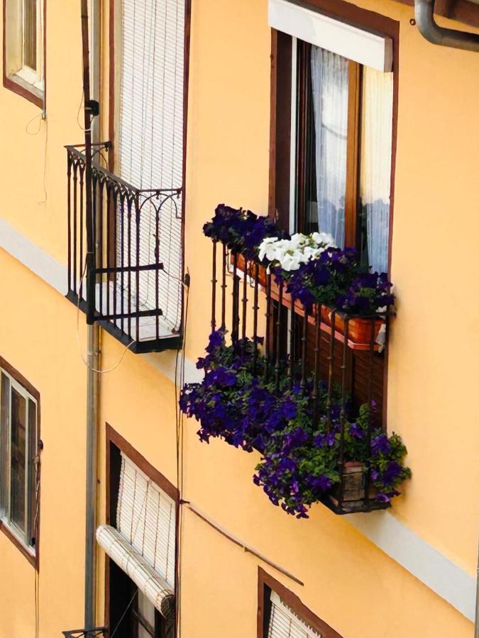 Plaza Mayor - Bohemia Guest house Leon