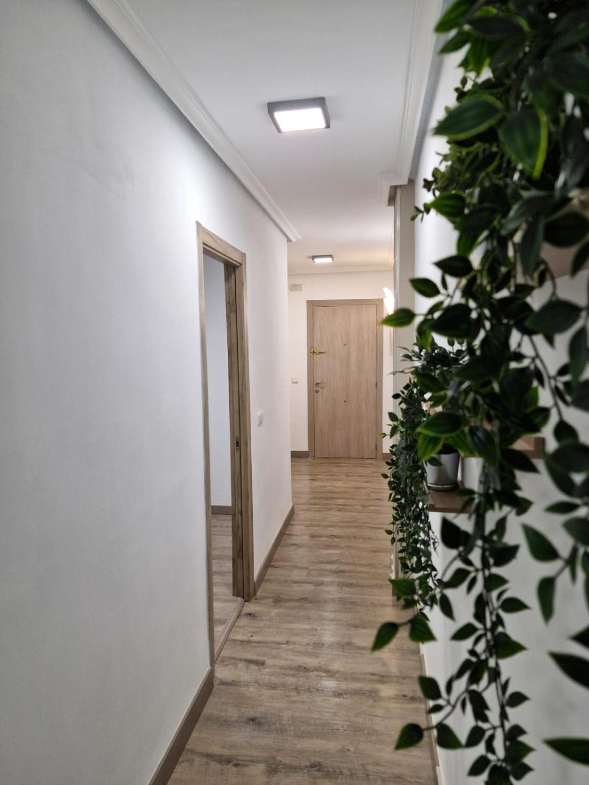 Apartamento Feeling Catedral