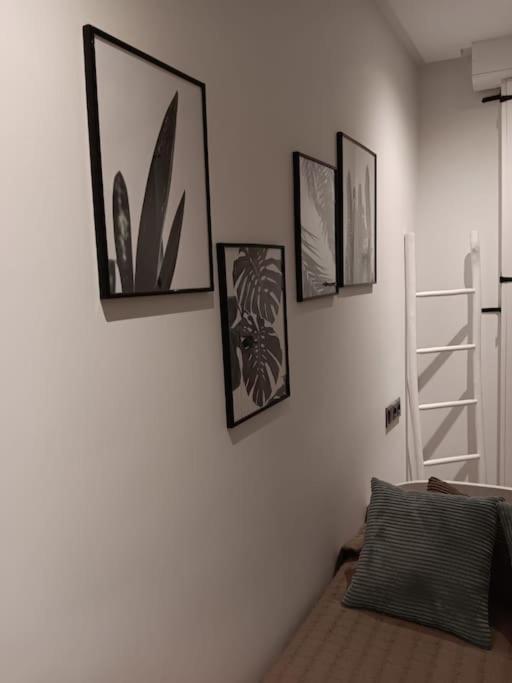 Bermudo Iii Vut-le-784 Apartamento León