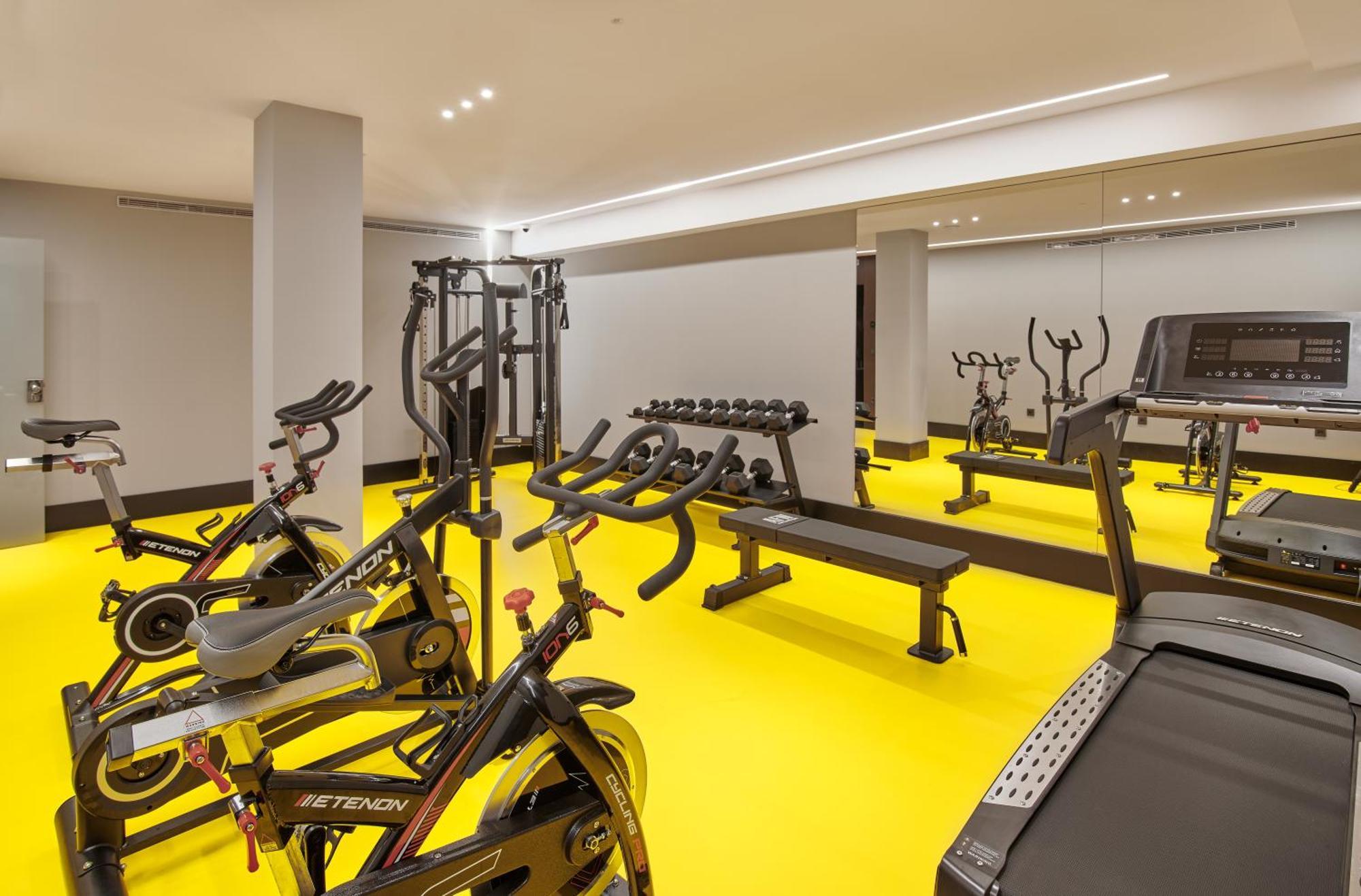 Mypalace 4* León