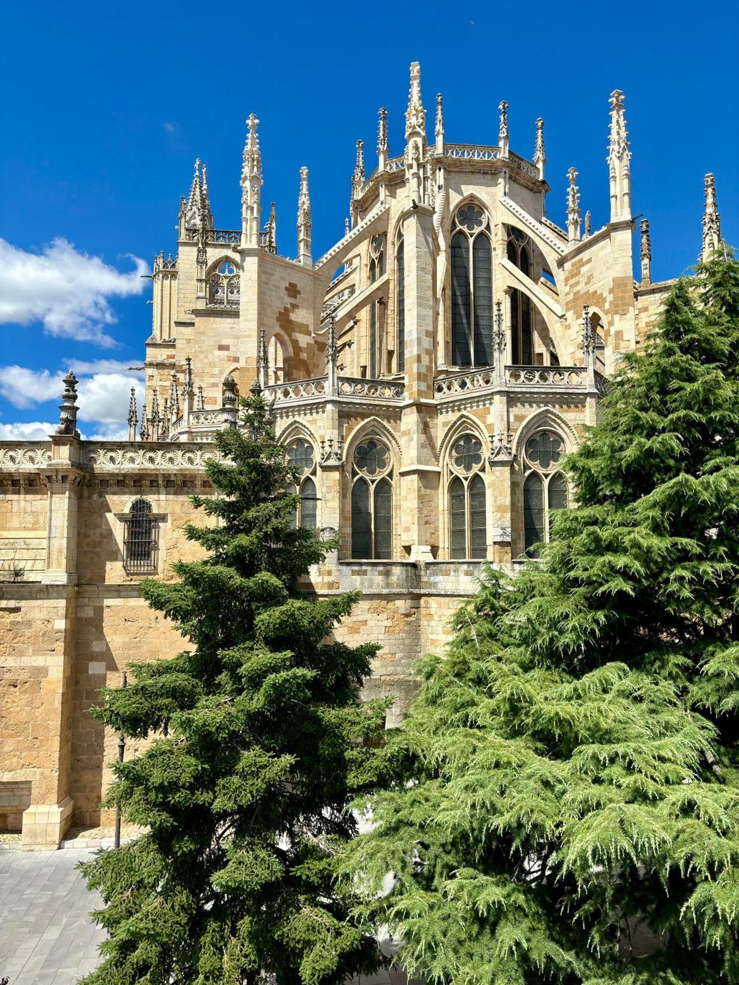 Catedral De Apartamento León
