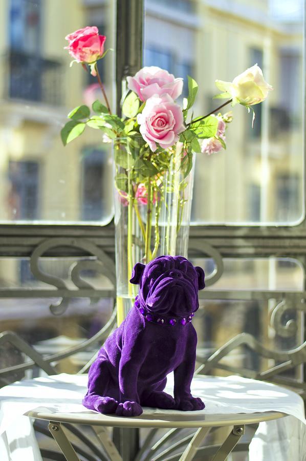 Apartahotel Purple Dog 4*