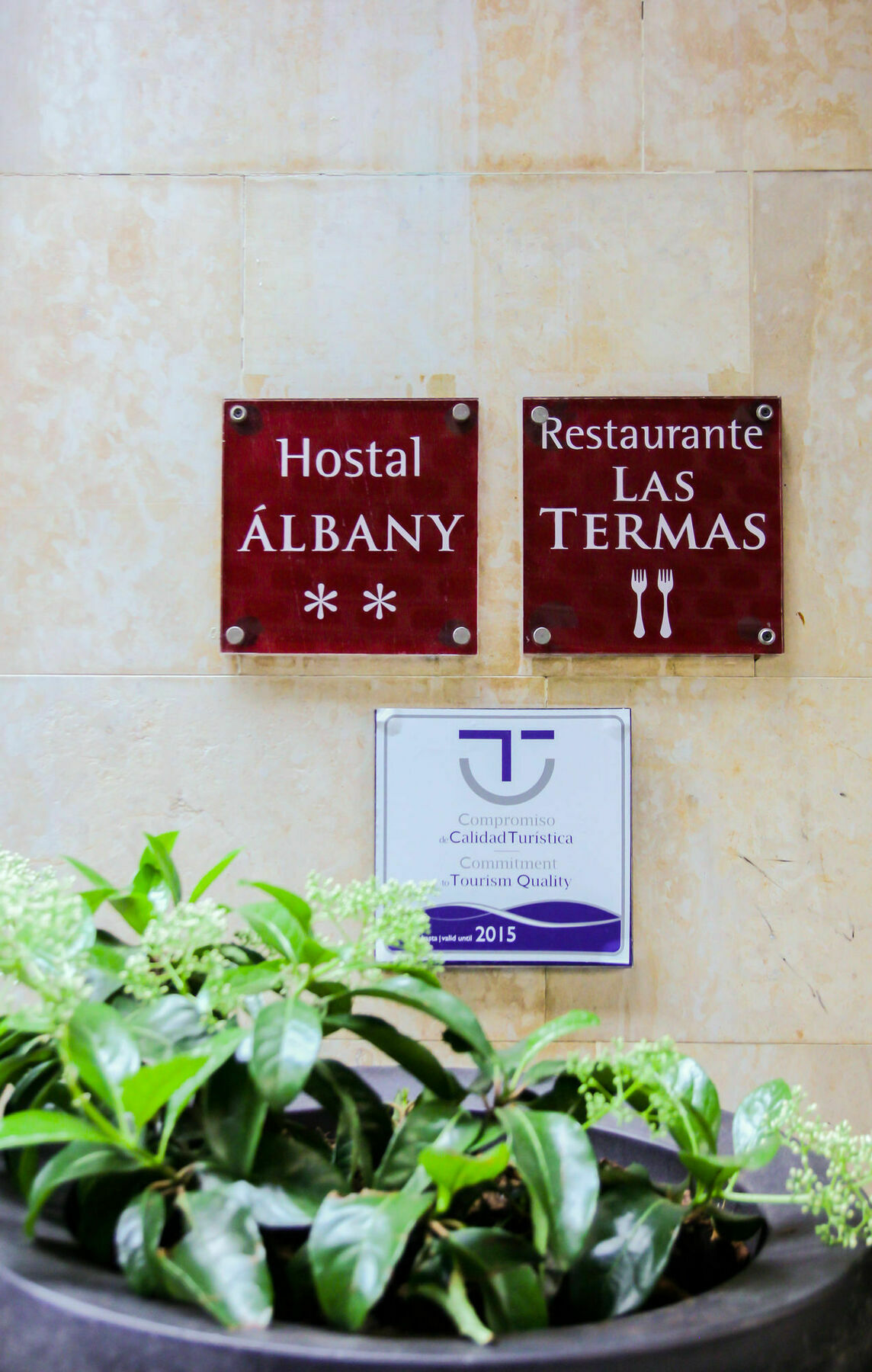 Albany Ancha
