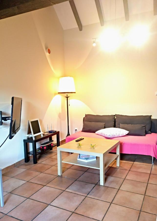 Apartamento El Desvan *